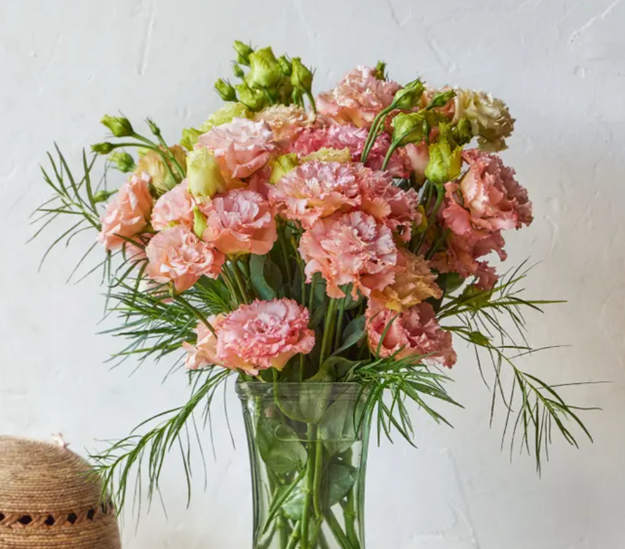 Light Apricot